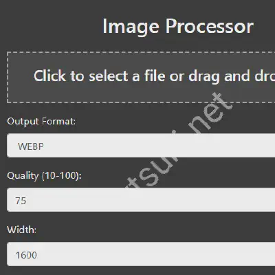 Web-based image processor interface with watermarking options.